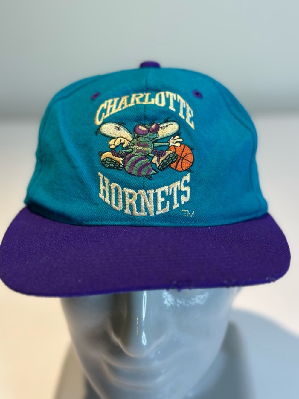 NBA Charlotte Hornets Teal and Purple Snapback Hat